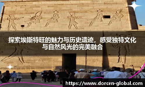中欧体育